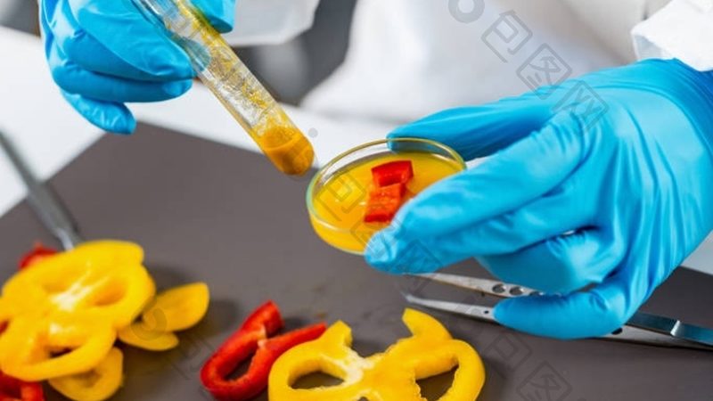 手工蜜饯果干：传统工艺与现代健康的完美融合
